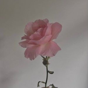 Meet your Posher, Ma